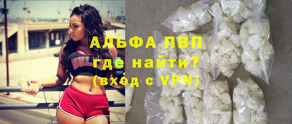 гашик Михайловск